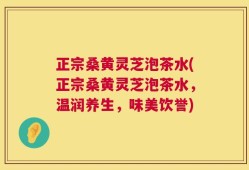 正宗桑黄灵芝泡茶水(正宗桑黄灵芝泡茶水，温润养生，味美饮誉)