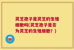 灵芝孢子是灵芝的生殖细胞吗(灵芝孢子是否为灵芝的生殖细胞？)