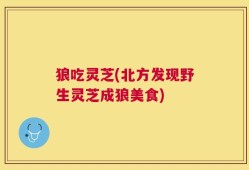 狼吃灵芝(北方发现野生灵芝成狼美食)