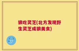 狼吃灵芝(北方发现野生灵芝成狼美食)