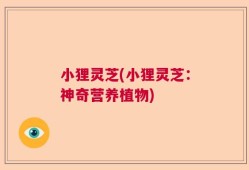 小狸灵芝(小狸灵芝：神奇营养植物)