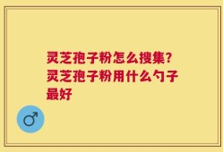 灵芝孢子粉怎么搜集？灵芝孢子粉用什么勺子最好