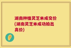 湖南种植灵芝米成交价(湖南灵芝米成功拍出高价)