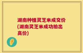 湖南种植灵芝米成交价(湖南灵芝米成功拍出高价)