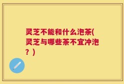 灵芝不能和什么泡茶(灵芝与哪些茶不宜冲泡？)