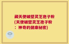 藏天使破壁灵芝孢子粉(天使破壁灵芝孢子粉：神奇的健康秘密)