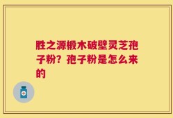 胜之源椴木破壁灵芝孢子粉？孢子粉是怎么来的