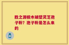 胜之源椴木破壁灵芝孢子粉？孢子粉是怎么来的