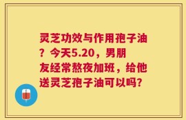 灵芝功效与作用孢子油？今天5.20，男朋友经常熬夜加班，给他送灵芝孢子油可以吗？