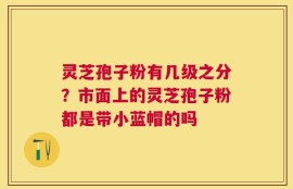 灵芝孢子粉有几级之分？市面上的灵芝孢子粉都是带小蓝帽的吗