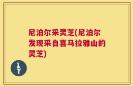 尼泊尔采灵芝(尼泊尔发现采自喜马拉雅山的灵芝)