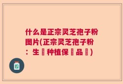 什么是正宗灵芝孢子粉图片(正宗灵芝孢子粉：生態种植保證品質)