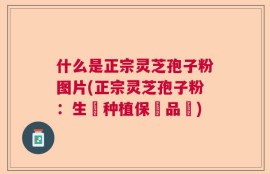 什么是正宗灵芝孢子粉图片(正宗灵芝孢子粉：生態种植保證品質)