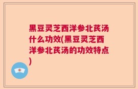 黑豆灵芝西洋参北芪汤什么功效(黑豆灵芝西洋参北芪汤的功效特点)