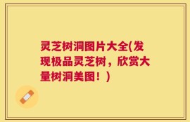 灵芝树洞图片大全(发现极品灵芝树，欣赏大量树洞美图！)