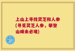 上山上寻找灵芝和人参(寻觅灵芝人参，攀登山峰未必难)