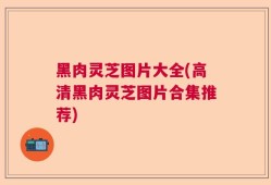黑肉灵芝图片大全(高清黑肉灵芝图片合集推荐)