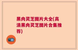 黑肉灵芝图片大全(高清黑肉灵芝图片合集推荐)