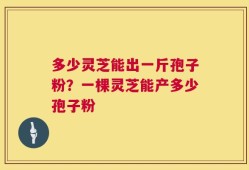 多少灵芝能出一斤孢子粉？一棵灵芝能产多少孢子粉