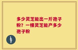 多少灵芝能出一斤孢子粉？一棵灵芝能产多少孢子粉