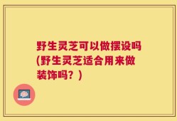 野生灵芝可以做摆设吗(野生灵芝适合用来做装饰吗？)