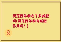 灵芝西羊参吃了多减肥吗(灵芝西羊参有减肥作用吗？)