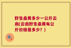 野生桑黄多少一公斤云南(云南野生桑黄每公斤价格是多少？)