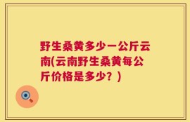 野生桑黄多少一公斤云南(云南野生桑黄每公斤价格是多少？)