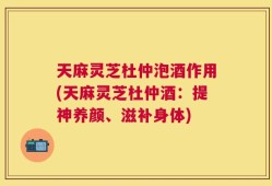 天麻灵芝杜仲泡酒作用(天麻灵芝杜仲酒：提神养颜、滋补身体)