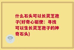 什么石头可以长灵芝孢子(好奇心驱使：寻找可以生长灵芝孢子的神奇石头)