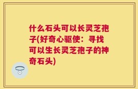 什么石头可以长灵芝孢子(好奇心驱使：寻找可以生长灵芝孢子的神奇石头)