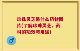 珍珠灵芝是什么药材图片(了解珍珠灵芝，药材的功效与用途)