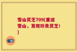 雪山灵芝709(重返雪山，发现珍贵灵芝！)