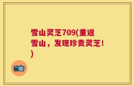 雪山灵芝709(重返雪山，发现珍贵灵芝！)