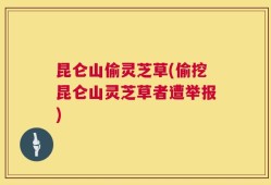昆仑山偷灵芝草(偷挖昆仑山灵芝草者遭举报)