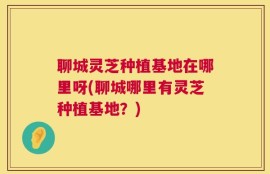 聊城灵芝种植基地在哪里呀(聊城哪里有灵芝种植基地？)