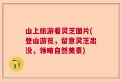 山上旅游看灵芝图片(登山游览，留意灵芝出没，领略自然美景)