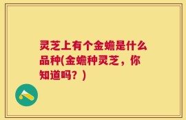 灵芝上有个金蟾是什么品种(金蟾种灵芝，你知道吗？)