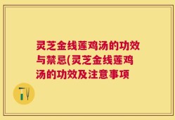 灵芝金线莲鸡汤的功效与禁忌(灵芝金线莲鸡汤的功效及注意事项