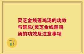 灵芝金线莲鸡汤的功效与禁忌(灵芝金线莲鸡汤的功效及注意事项
