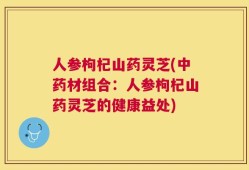 人参枸杞山药灵芝(中药材组合：人参枸杞山药灵芝的健康益处)
