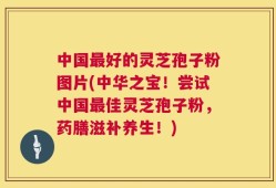 中国最好的灵芝孢子粉图片(中华之宝！尝试中国最佳灵芝孢子粉，药膳滋补养生！)