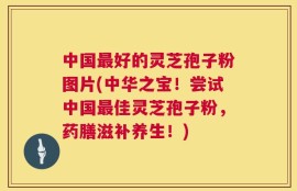 中国最好的灵芝孢子粉图片(中华之宝！尝试中国最佳灵芝孢子粉，药膳滋补养生！)