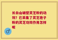 长白山破壁灵芝粉的功效？已采集了灵芝孢子粉的灵芝功效作用怎样呢