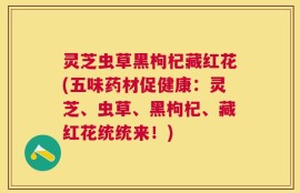灵芝虫草黑枸杞藏红花(五味药材促健康：灵芝、虫草、黑枸杞、藏红花统统来！)