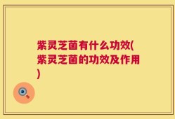 紫灵芝菌有什么功效(紫灵芝菌的功效及作用)