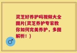 灵芝好养护吗视频大全图片(灵芝养护专家教你如何完美养护，多图解析！)