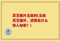 灵芝图片五层的(五层灵芝图片，透露出什么惊人秘密？)