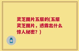 灵芝图片五层的(五层灵芝图片，透露出什么惊人秘密？)