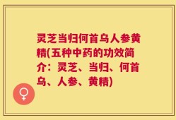 灵芝当归何首乌人参黄精(五种中药的功效简介：灵芝、当归、何首乌、人参、黄精)